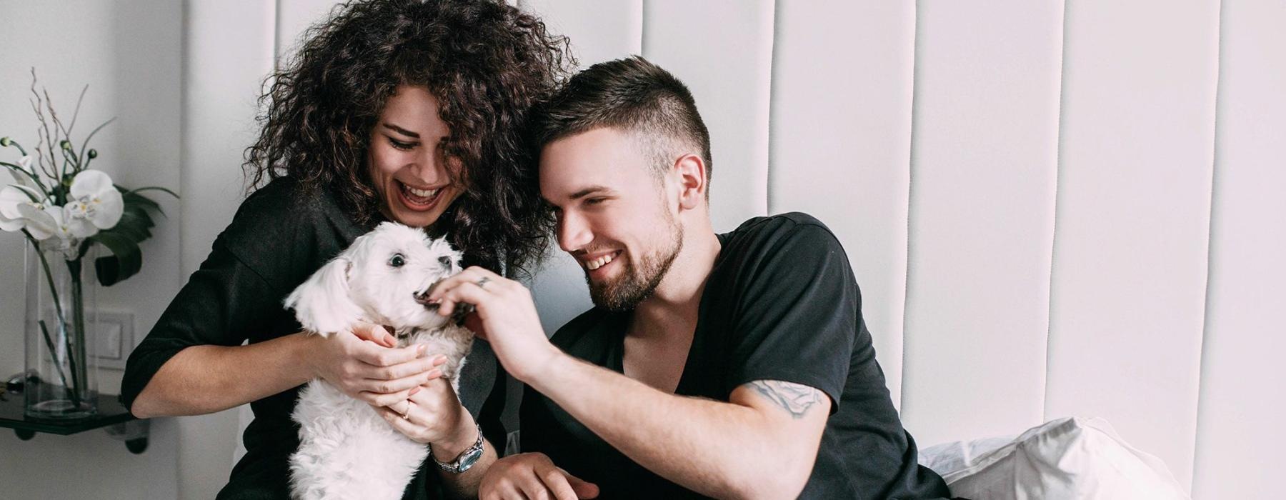 a man and woman sitting on a bed playing with a dog